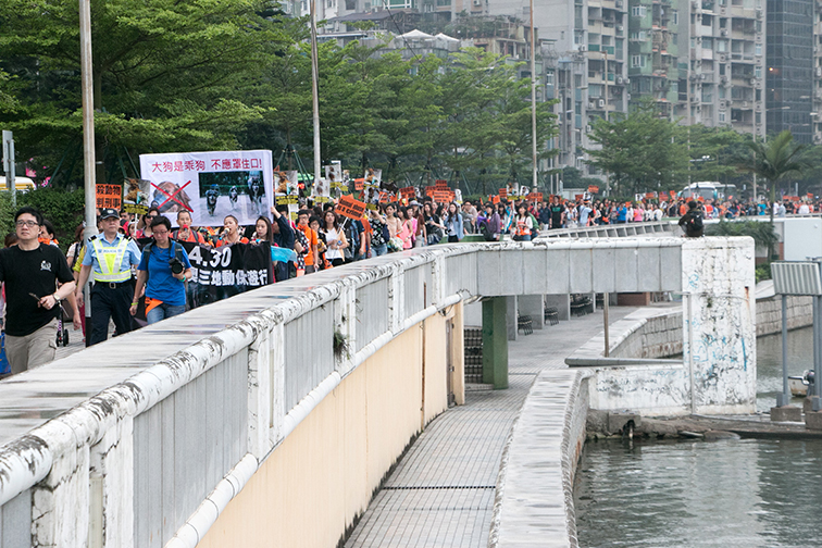 Over 900 march for animal rights