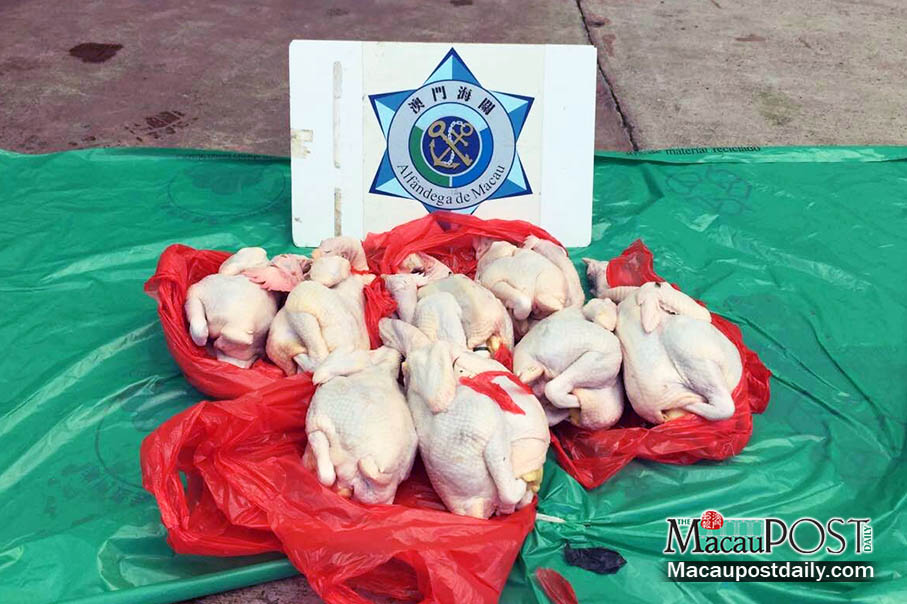 Woman busted for smuggling fresh  chicken: customs