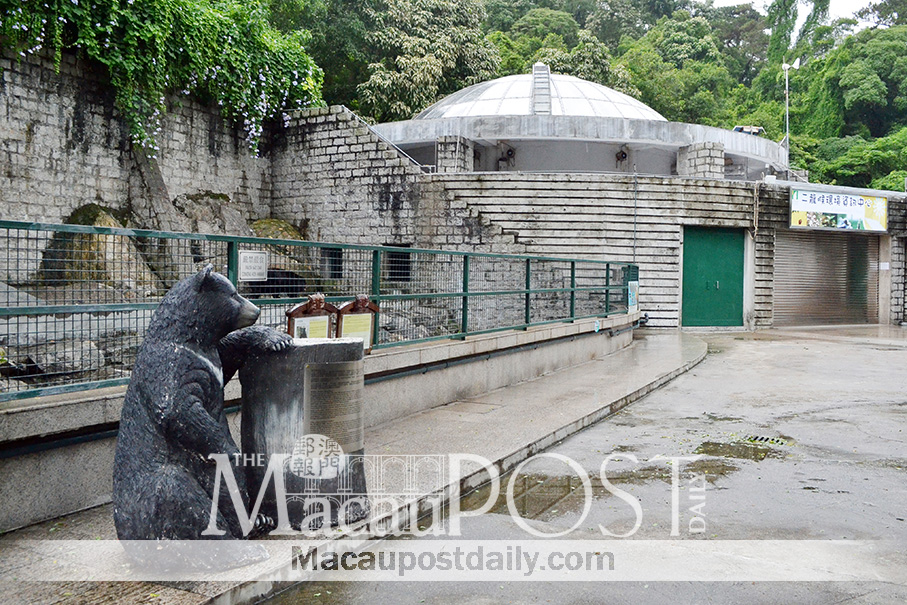 Pedestrian Guia Hill tunnel near Bobo’s enclosure: govt