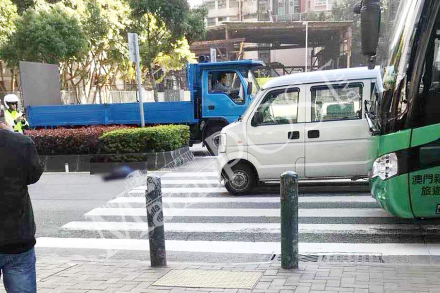 Woman on zebra crossing hit by van