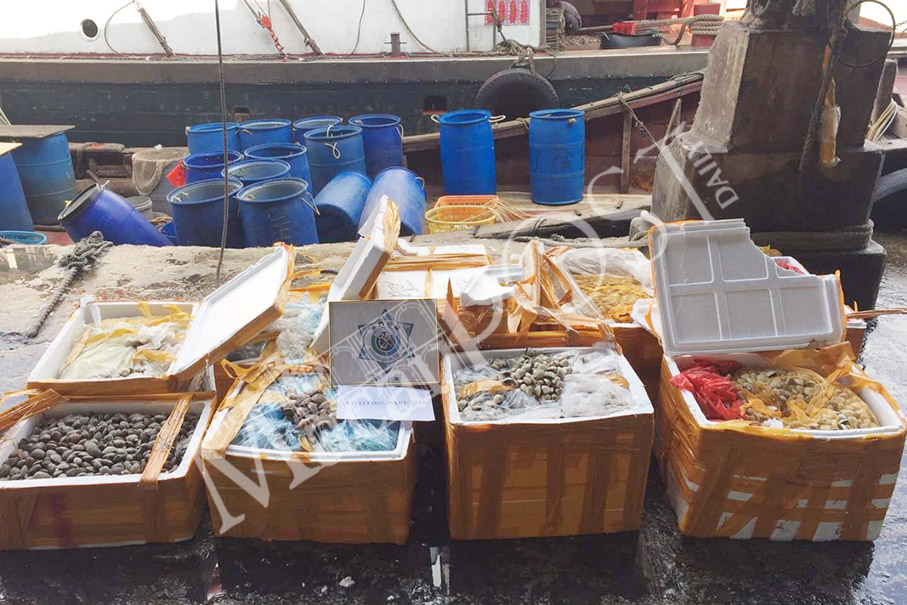 Over 1 tonne of smuggled seafood seized  from fishing boat: govt