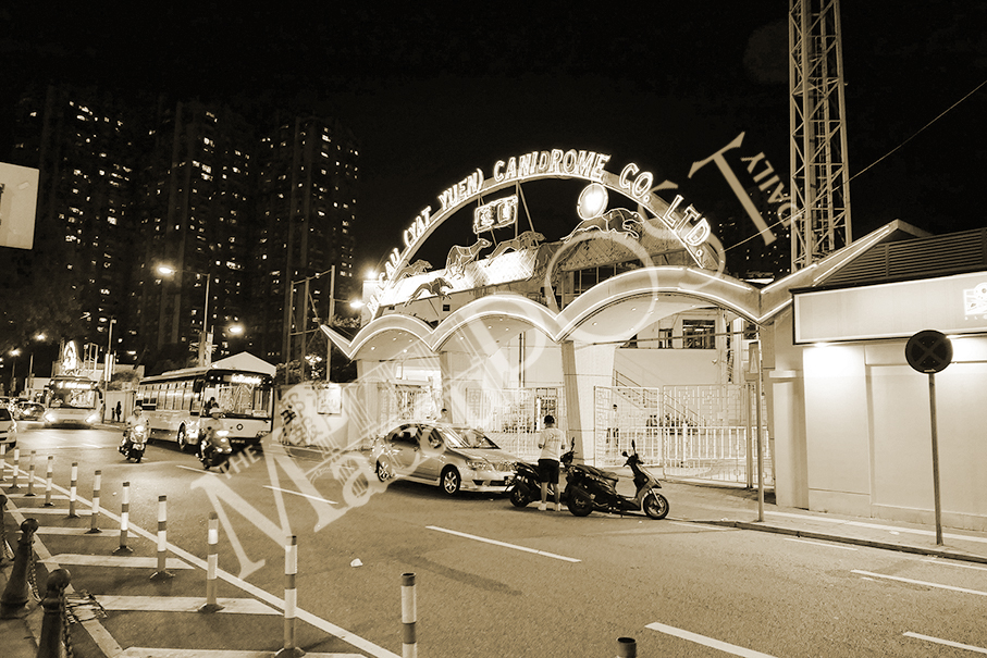 Macau greyhounds' fate remains unclear