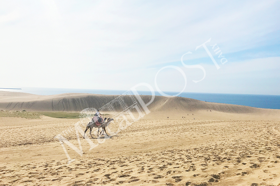 Sand dunes & volcano,  Tottori shows a different Japan