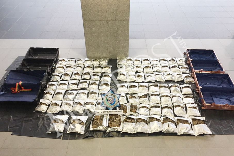 Customs confiscate 100kg of pangolin scales