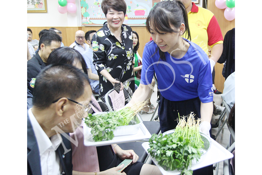 Firms cooperate with intellectually disabled to provide purified vegetables