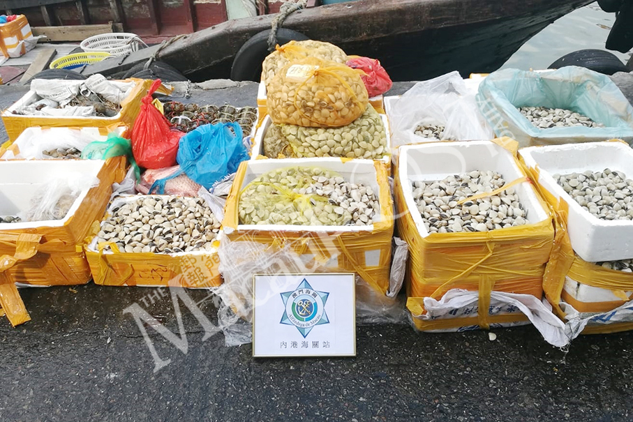 Over 560 kg of undeclared & unquarantined seafood seized: customs