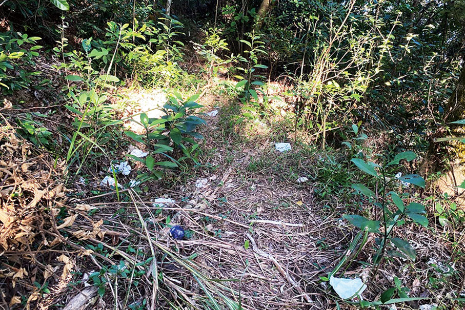 Walking trails littered with facemasks: IAM 