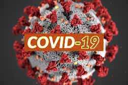 Macau COVID-19 cases rise to 29