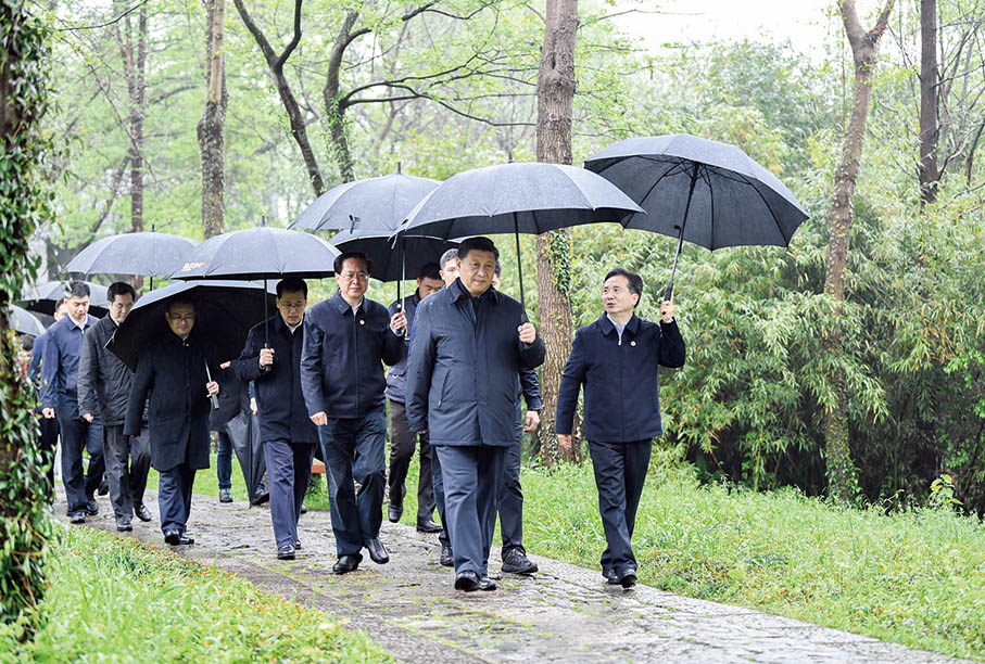 Xi inspects wetland conservation, urban management in Hangzhou