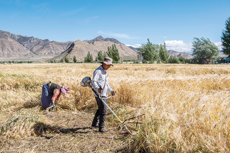 Stability, development cornerstones of building new modern socialist Tibet