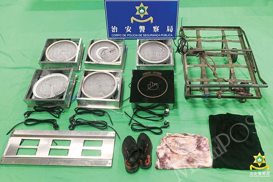 Woman, 71, steals 6-plate induction stove, sells parts 