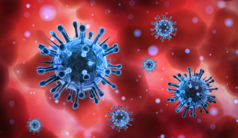 Novel coronavirus kills over 1 million: report 