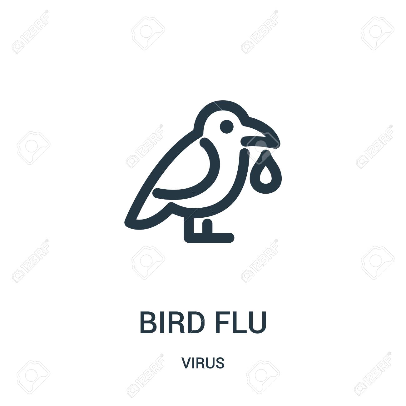 Municipal Affairs Bureau monitors avian flu threat