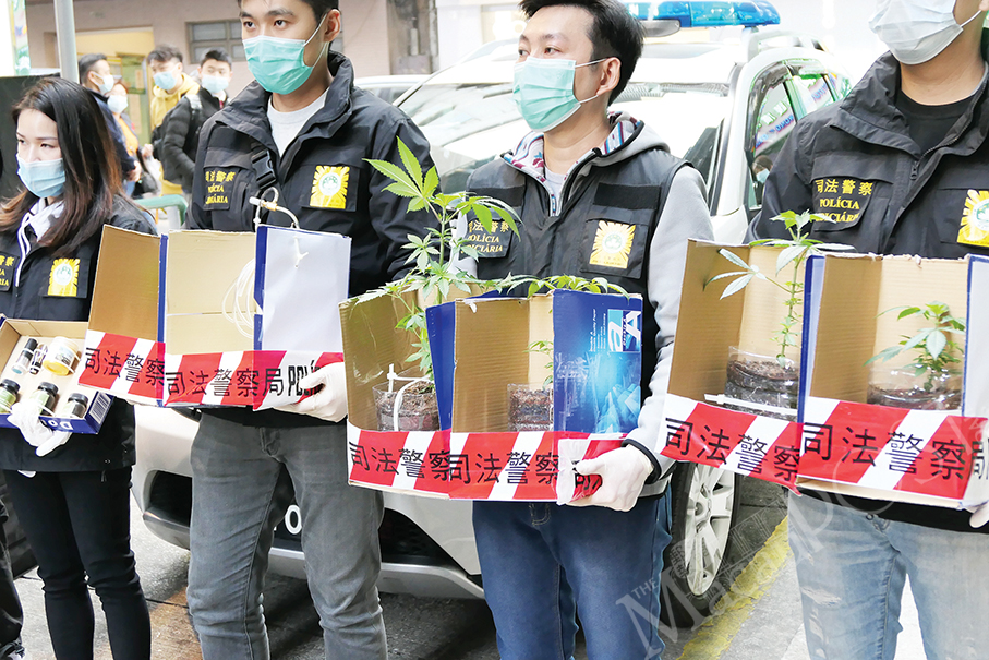 Taiwan-Macau duo caught for growing cannabis at home