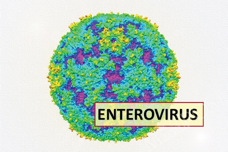 3 kids catch enterovirus in nursery: Health Bureau 