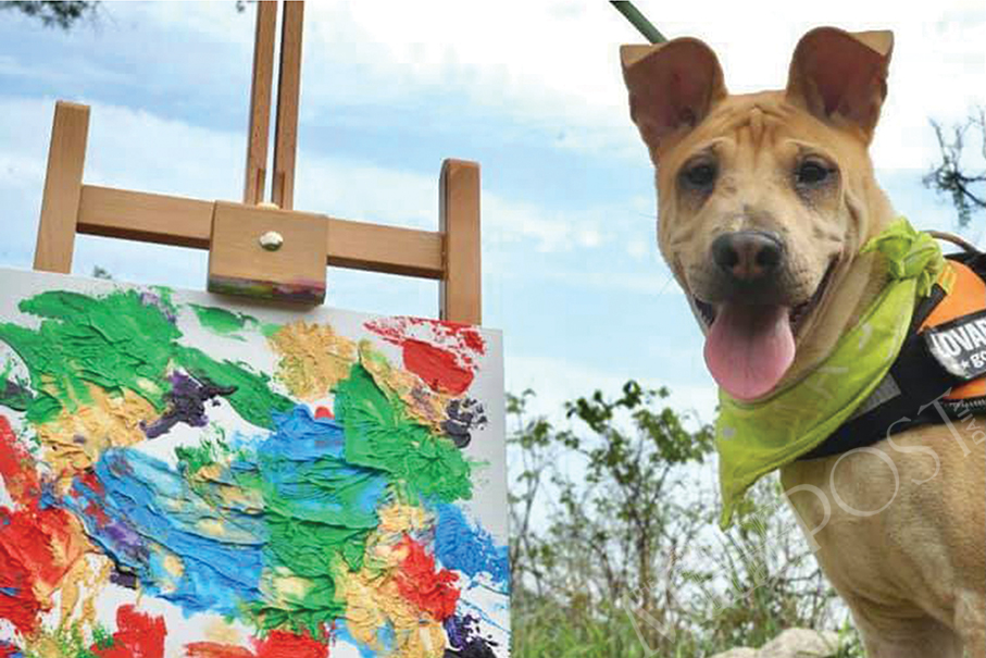  ‘Paint for the Puppies! Turn your dog into Pup-casso!’ aims to raise funds for MASDAW