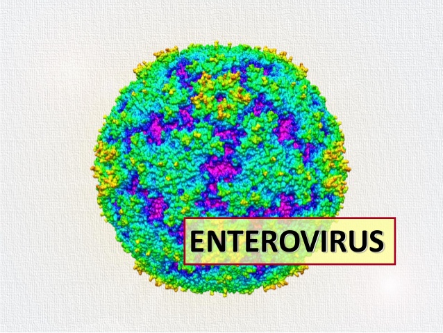 11 kids come down with enterovirus: Health Bureau