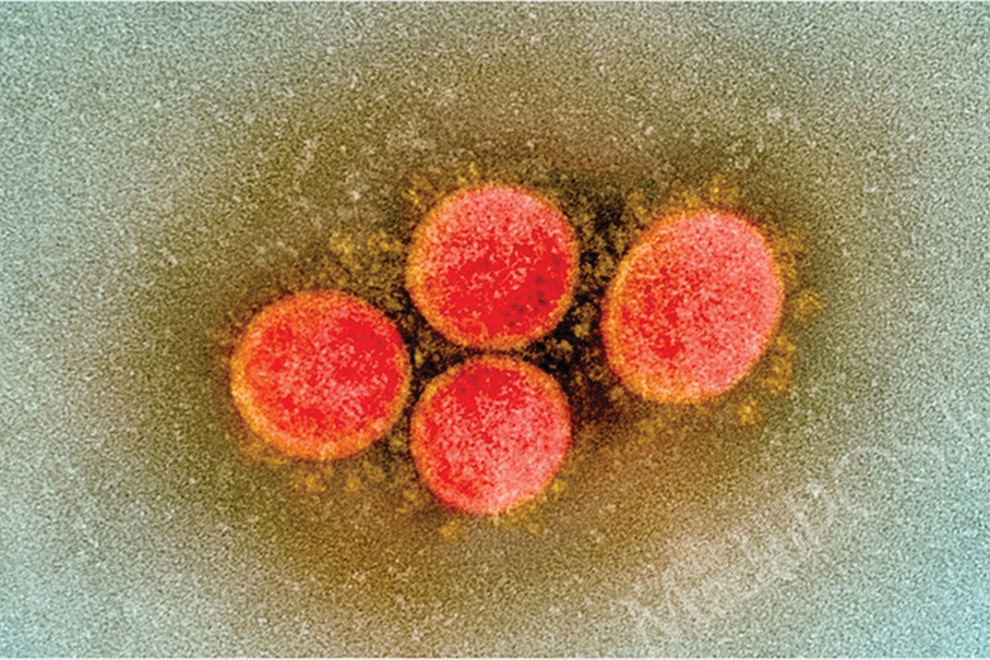 Latest COVID-19 patient carries Indian variant –1st time detected in Macau