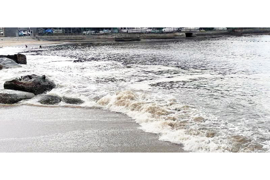 Red tide at Cheoc Van Beach, bureau urges residents not to go swimming 