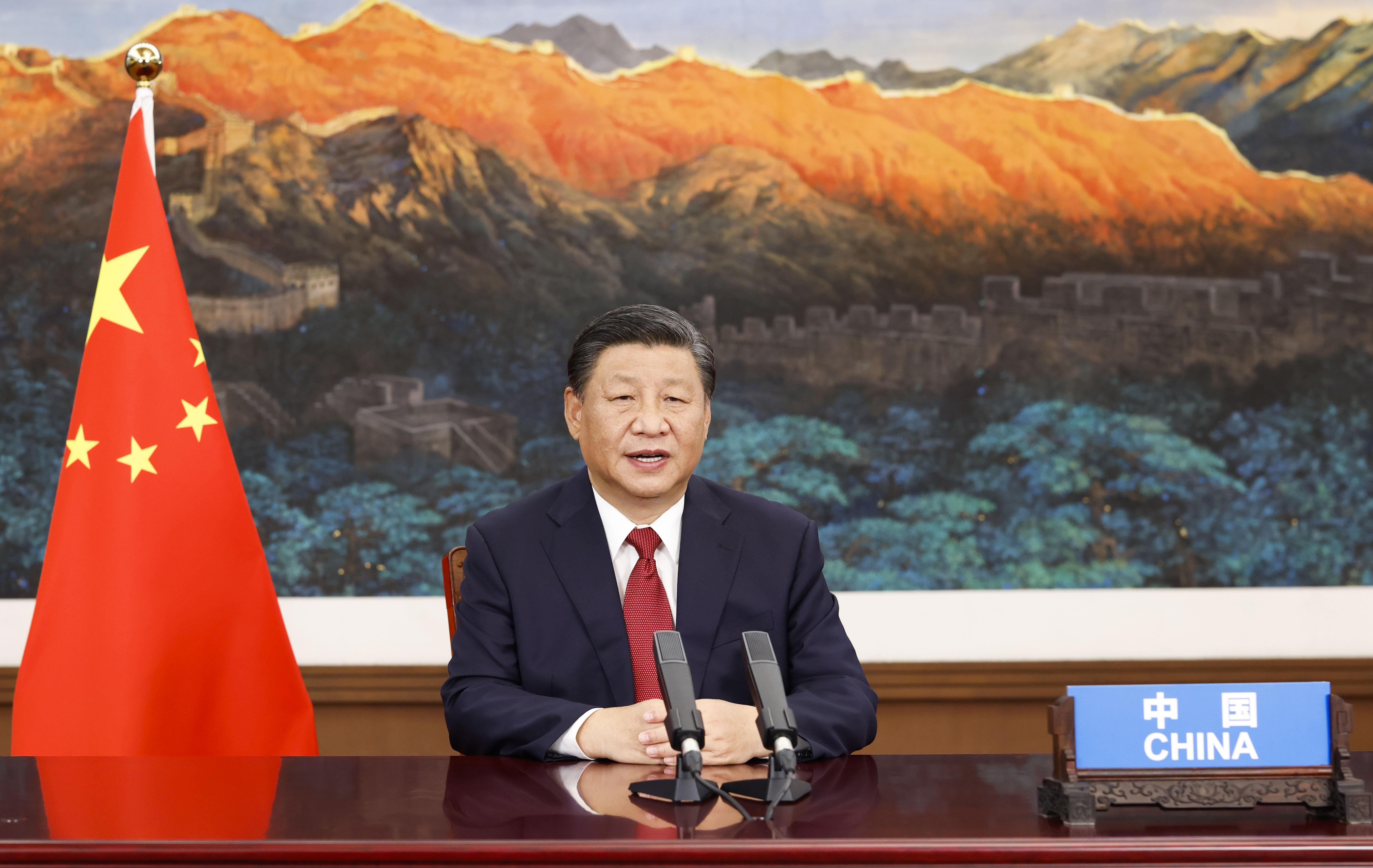 Xi elaborates on guiding principles for int'l relations