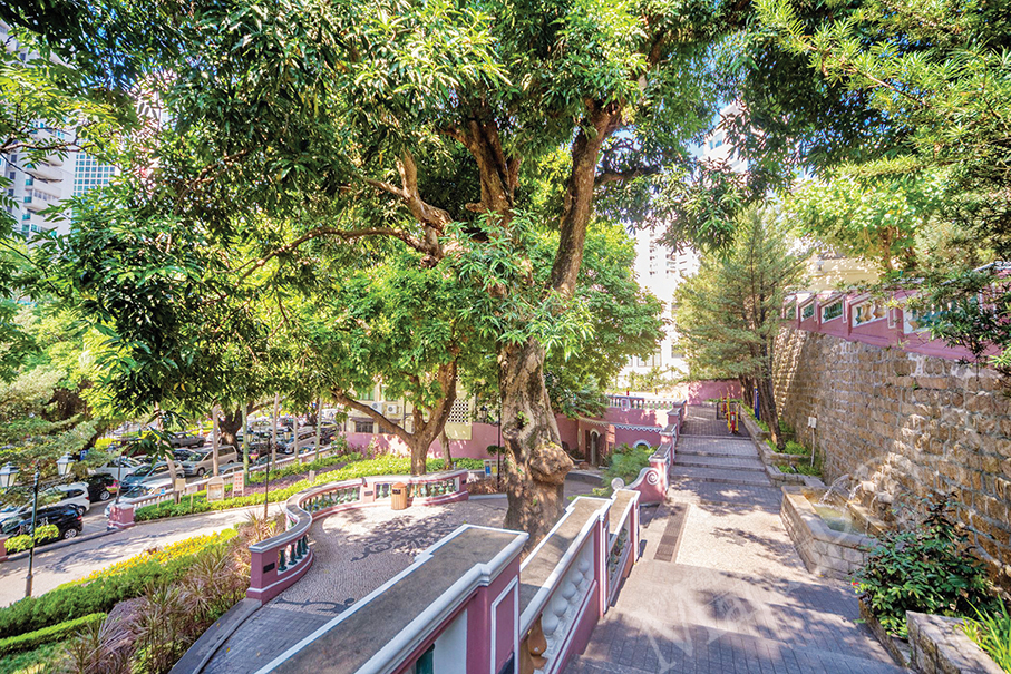 Local man cuts down 22 public trees  to grow edible plants