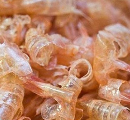 Portuguese researchers use shrimp shells to replace oil