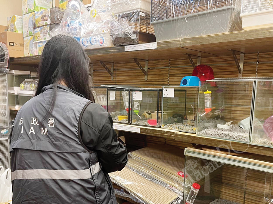 Local pet shops’ hamsters all test negative for COVID-19: IAM