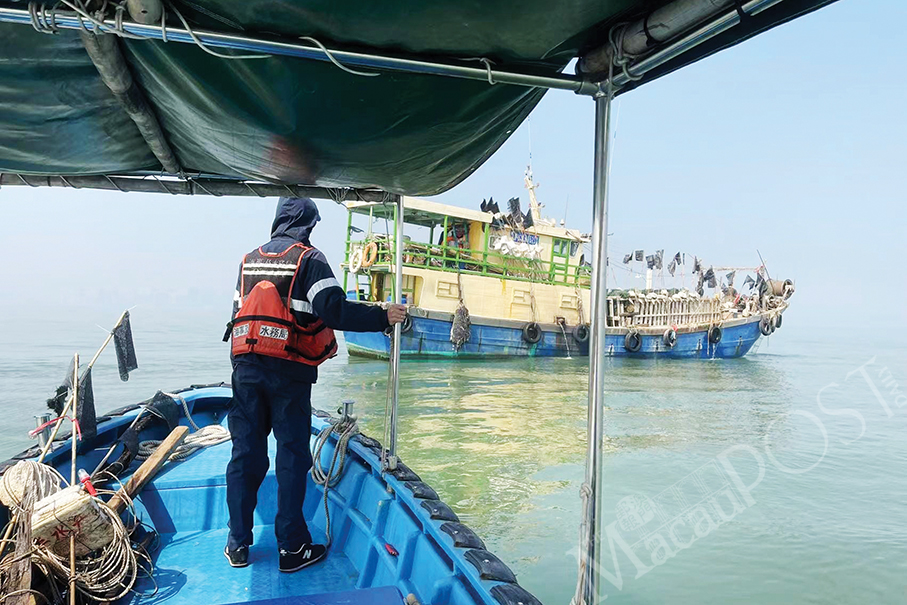 DSAMA finds illegal fishing activities again