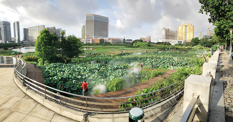 IAM opens ecological pond in Taipa for 22nd Macao Lotus Flower Festival