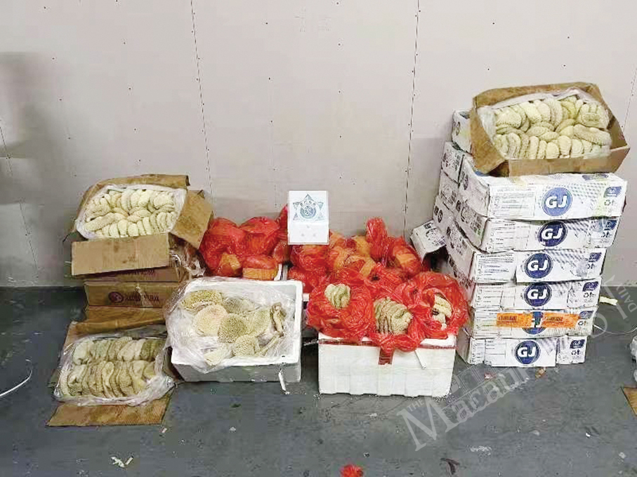 Macau customs busts 73 smuggling cases at checkpoints