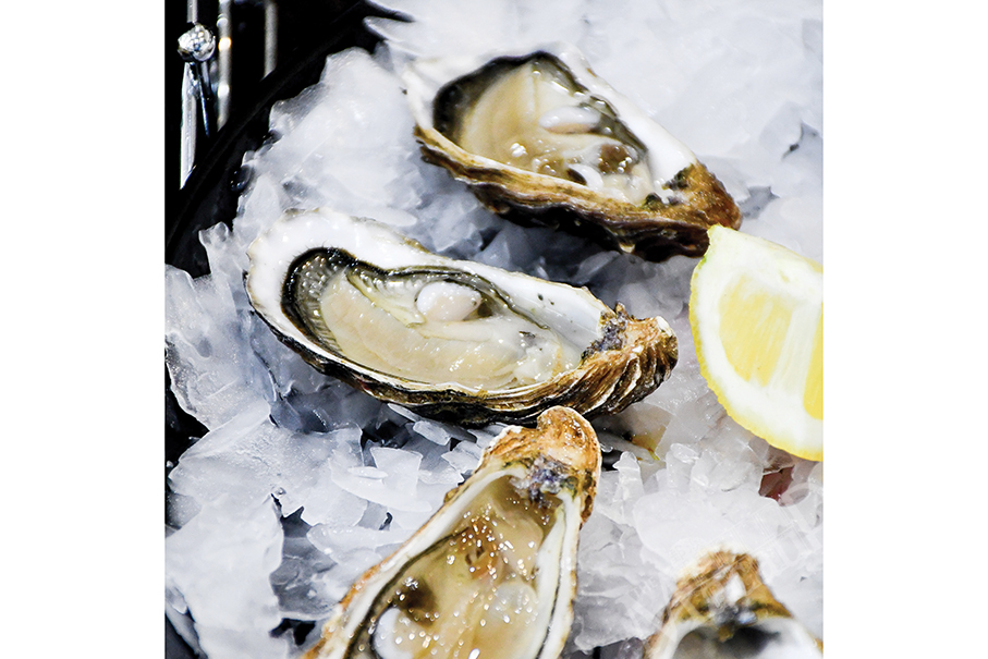 Govt suspends imports of live oysters  with norovirus from US