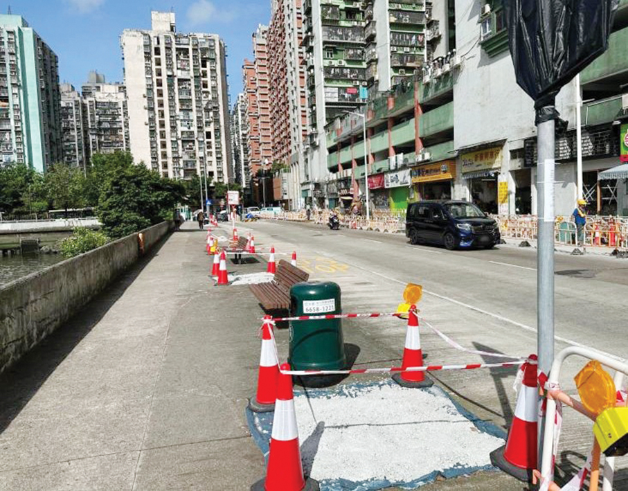 Govt fells 18 ‘declining’ horsetail trees on Fai Chi Kei waterfront