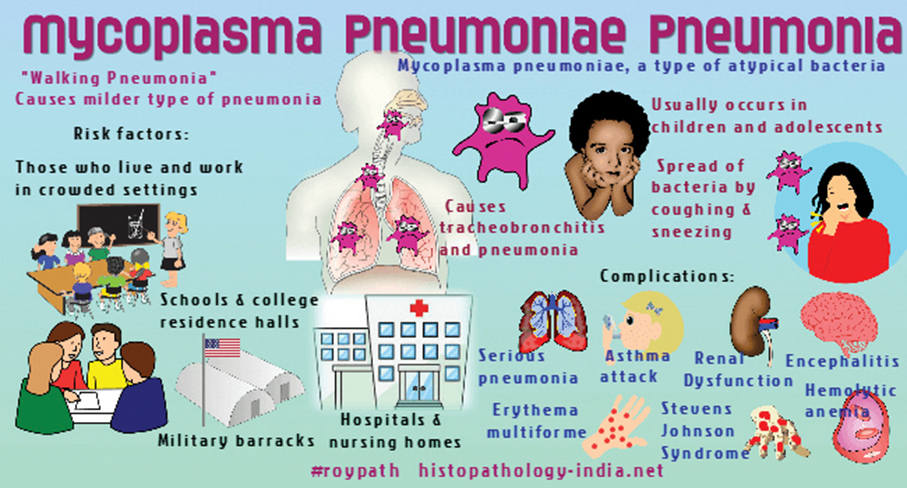 Health Bureau reminds residents to prevent mycoplasma pneumoniae infection