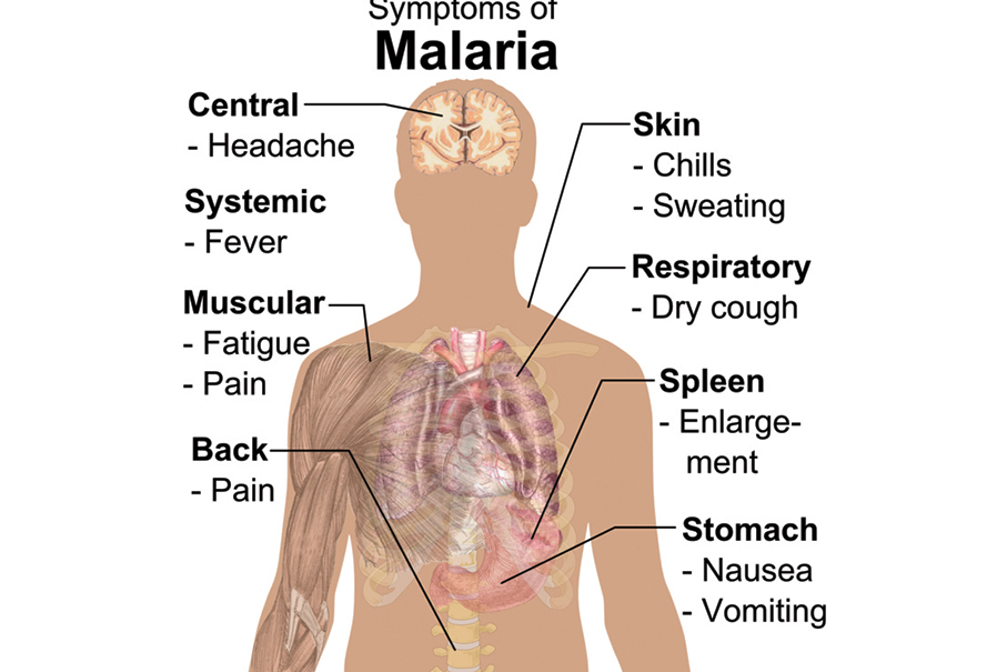 Macau logs this year’s 1st imported malaria case