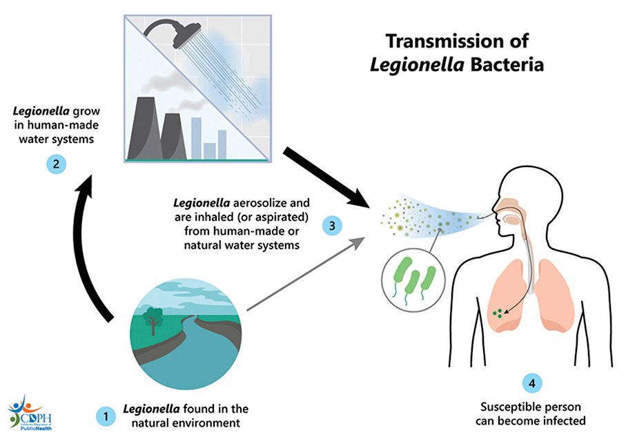 48-year-old woman becomes this year’s 1st case of Legionellosis 