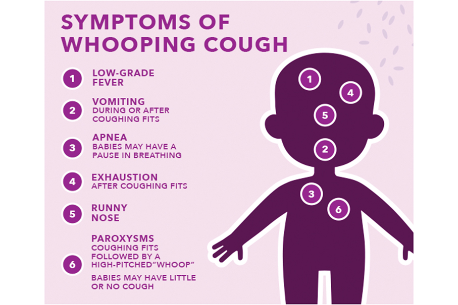 Senior citizen becomes this year’s 4th whooping cough patient