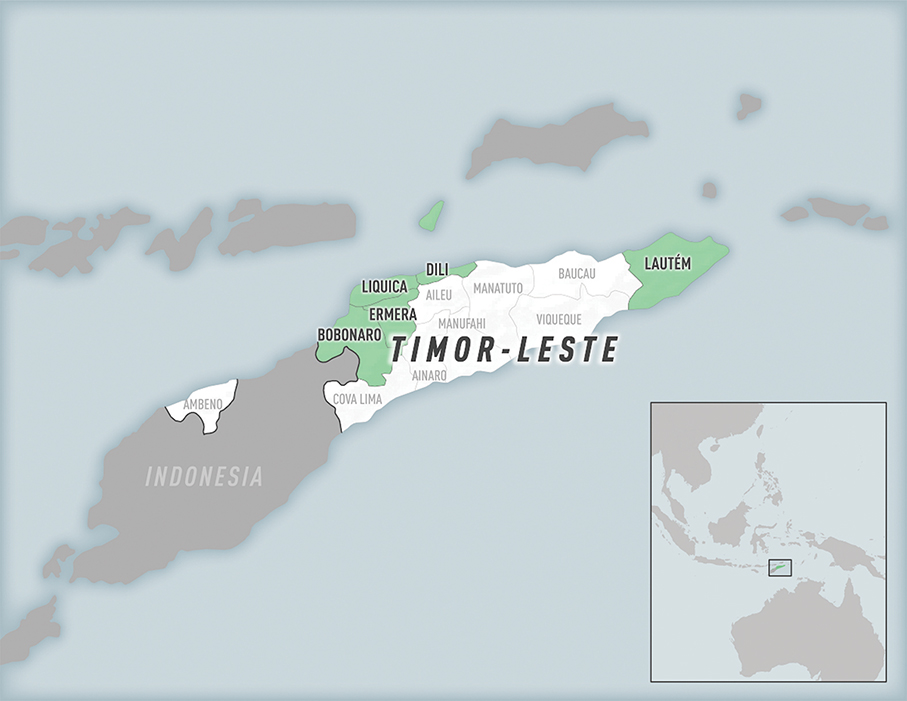 US CDC issues chikungunya outbreak travel alert for Timor-Leste