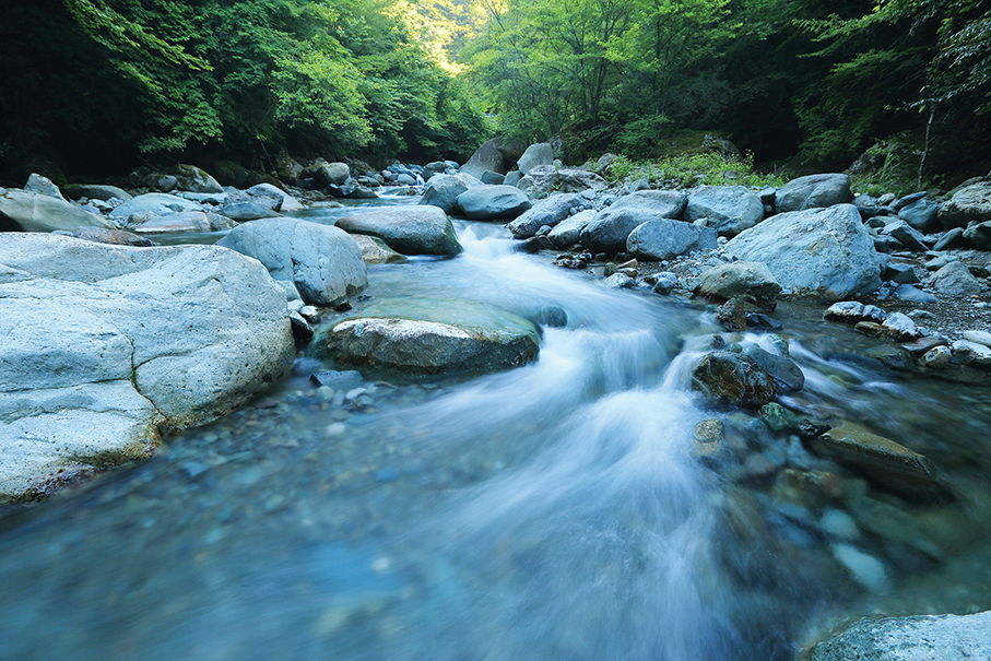 Steering along the river of life