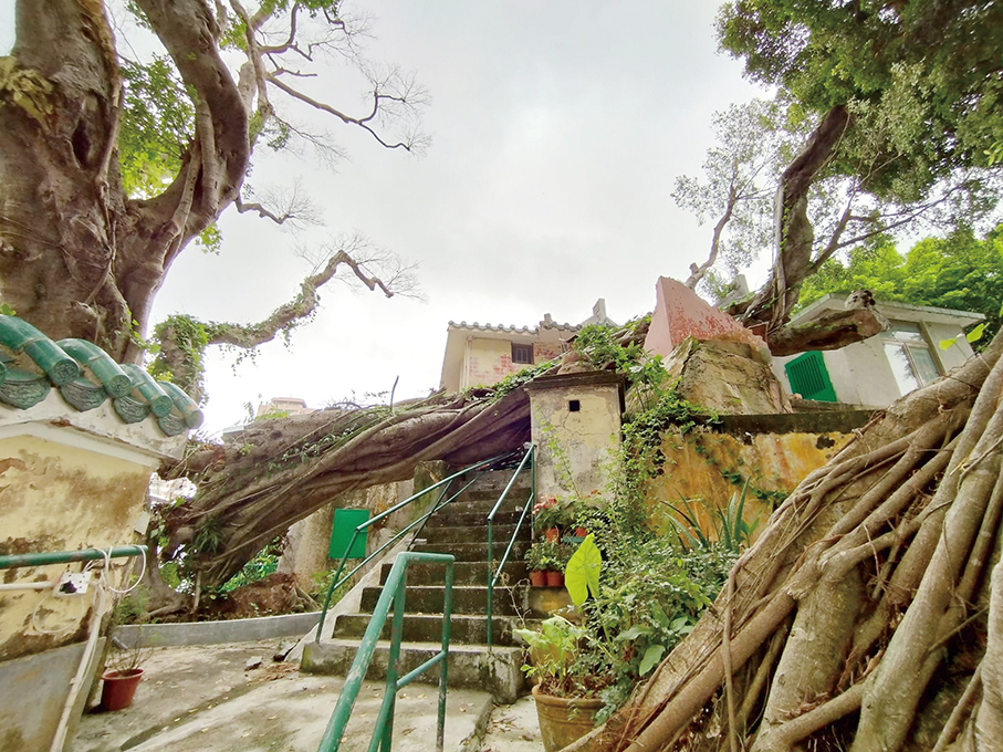 Heavy rain causes sinkhole  in Zone A