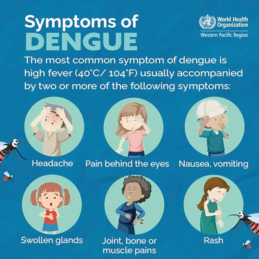 Macau logs this year’s 8th imported dengue case