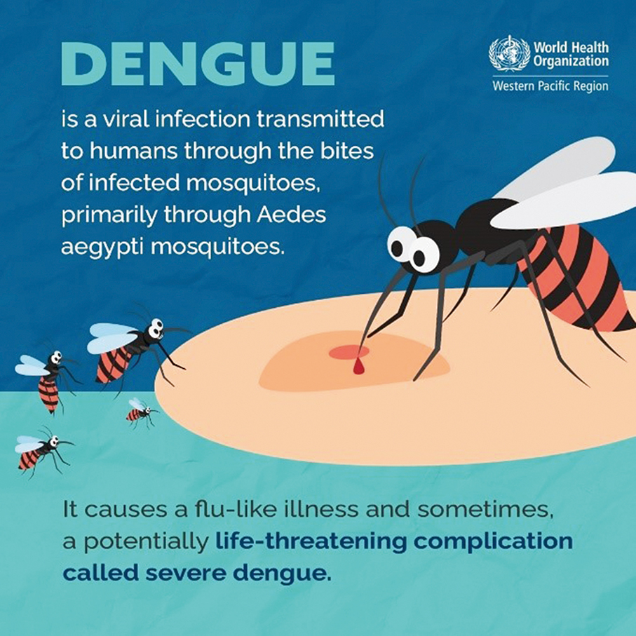 Macau logs this year’s 11th imported dengue case, 6 cases since last week