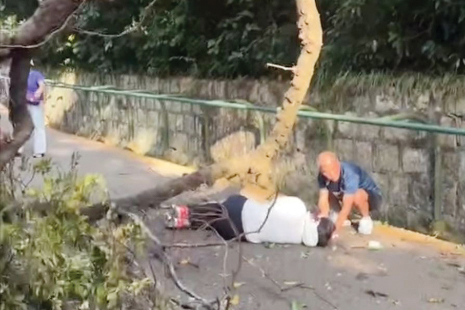 Woman injured as tree fall on Guia Hill