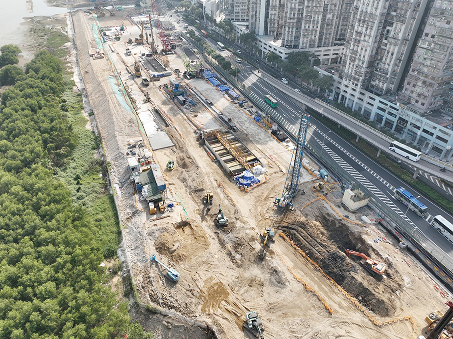 LRT’s extension to Qingmao checkpoint feasible: Tam