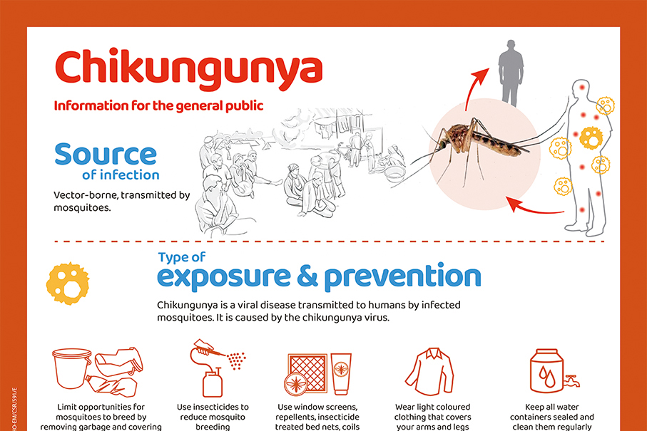 Health Bureau urges public to stay alert to chikungunya threat