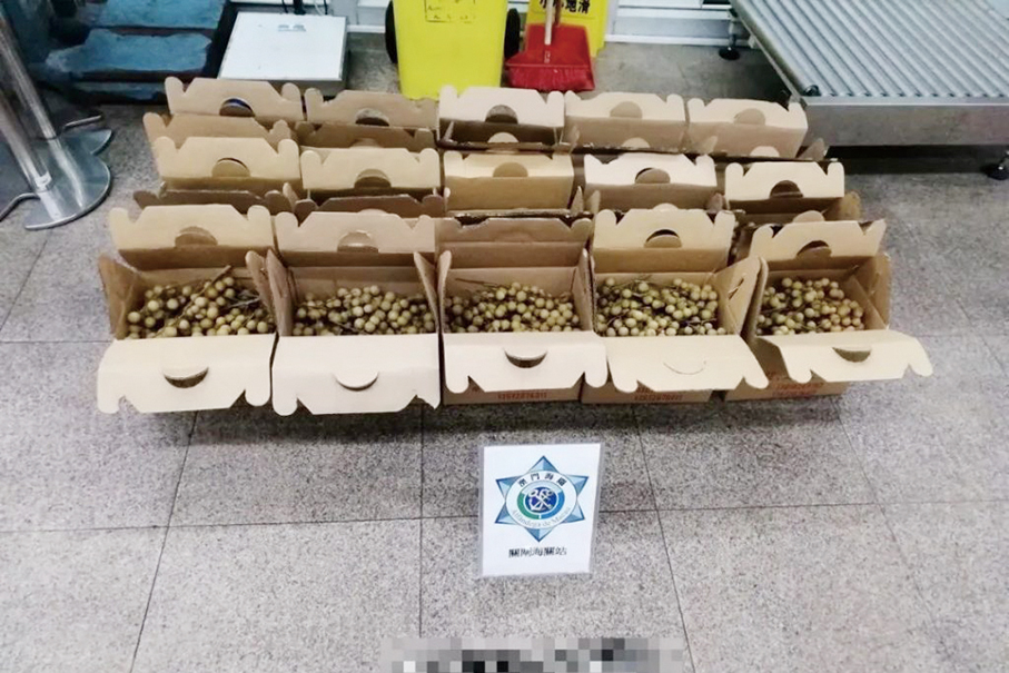 Macau Customs busts 9 smuggling cases in 6 days