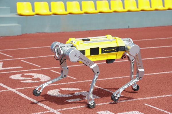 Chinese quadruped robot sets 100m sprint Guinness World Record