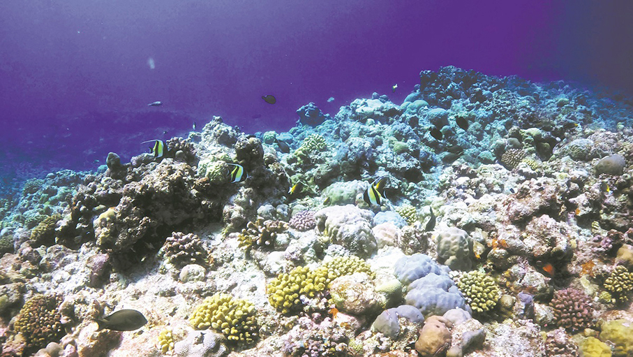 Establishment of nature reserve beyond criticism, aligns with regional interests