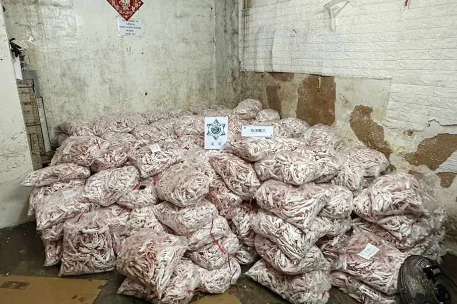 Macau Customs Service seizes 2.5 tonnes of frozen chicken feet worth 65,000 patacas