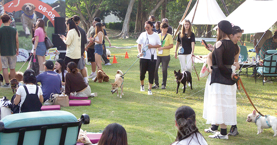 ‘Friends Fest’ promotes pets’ inclusion in Macau's public spaces 