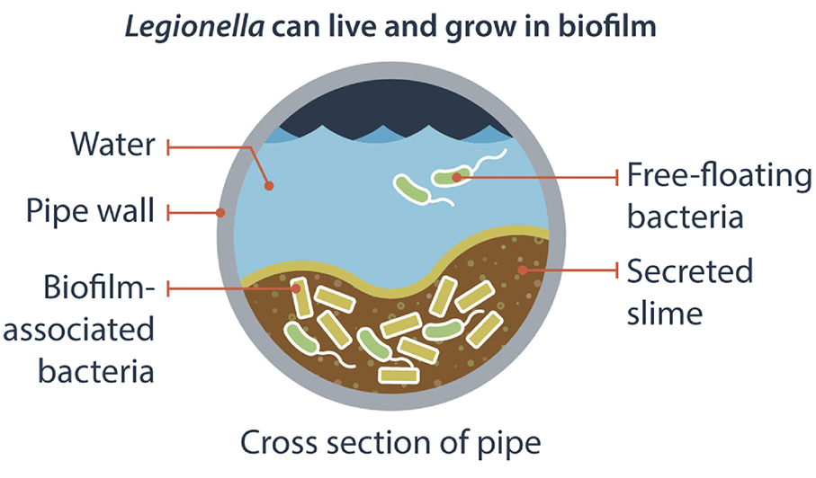 Macau records year’s 6th case of Legionnaires’ disease